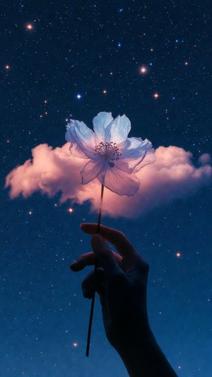 Silhouette holding a glowing white flower against a starry sky